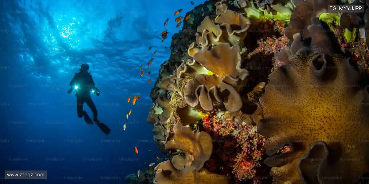 从训练场到直播间，我们与你同在！🏟️📱